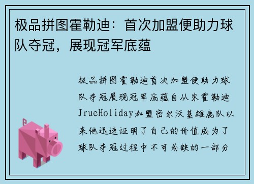 极品拼图霍勒迪：首次加盟便助力球队夺冠，展现冠军底蕴