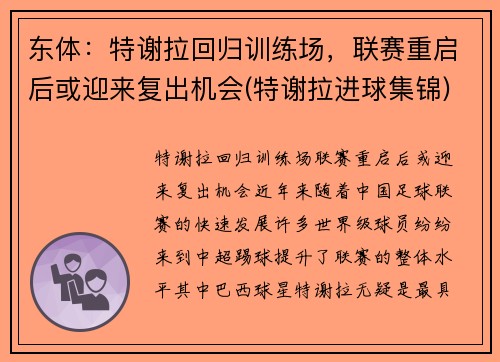 东体：特谢拉回归训练场，联赛重启后或迎来复出机会(特谢拉进球集锦)